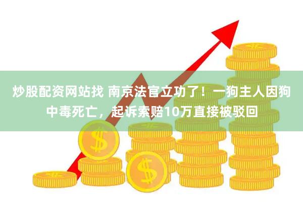 炒股配资网站找 南京法官立功了！一狗主人因狗中毒死亡，起诉索赔10万直接被驳回