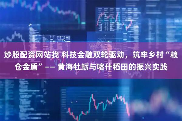 炒股配资网站找 科技金融双轮驱动，筑牢乡村“粮仓金盾”—— 黄海牡蛎与喀什稻田的振兴实践