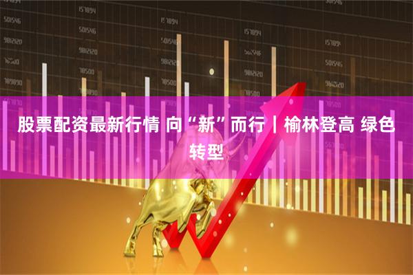 股票配资最新行情 向“新”而行｜榆林登高 绿色转型