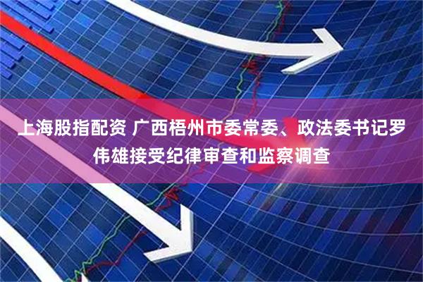 上海股指配资 广西梧州市委常委、政法委书记罗伟雄接受纪律审查和监察调查