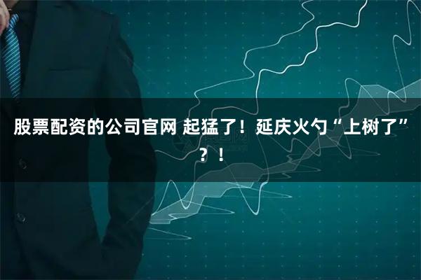 股票配资的公司官网 起猛了！延庆火勺“上树了”？！